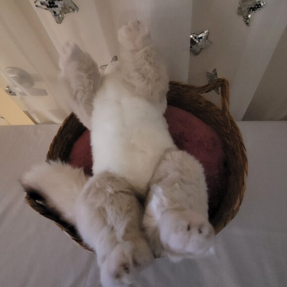 Taylor Swift " Cat Lady" inspired "KARMA" Plush Realistic Cat Gift Basket Bundle - Picture 6 of 6